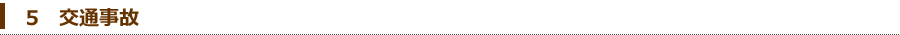 5@ʎ